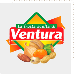 La nostra storia nel 2000 La nostra storia nel 2000