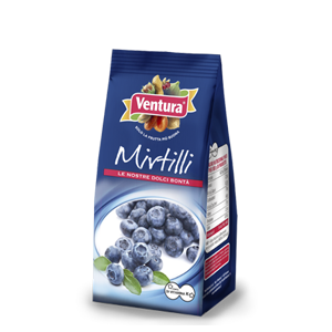 Mirtilli 100g