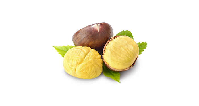 Castagne: proprietà, valori nutrizionali, benefici, ricette - Madi Ventura