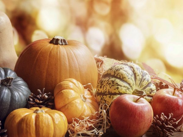 Dieta d’autunno: affrontare il cambio di stagione a tavola
