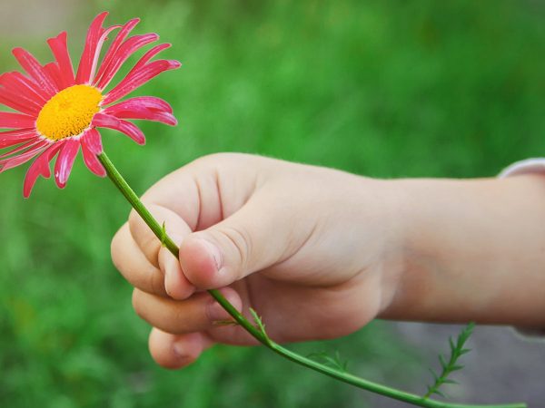 Insegnare ai bambini la serenità: i Giochi della Gentilezza