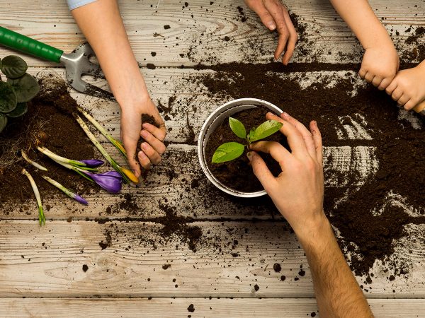 Fare un orto per bambini e imparare a conoscere la Natura