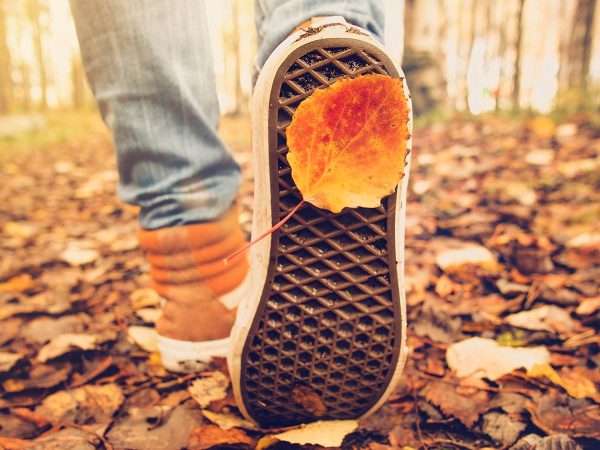 sneaker foglie autunno