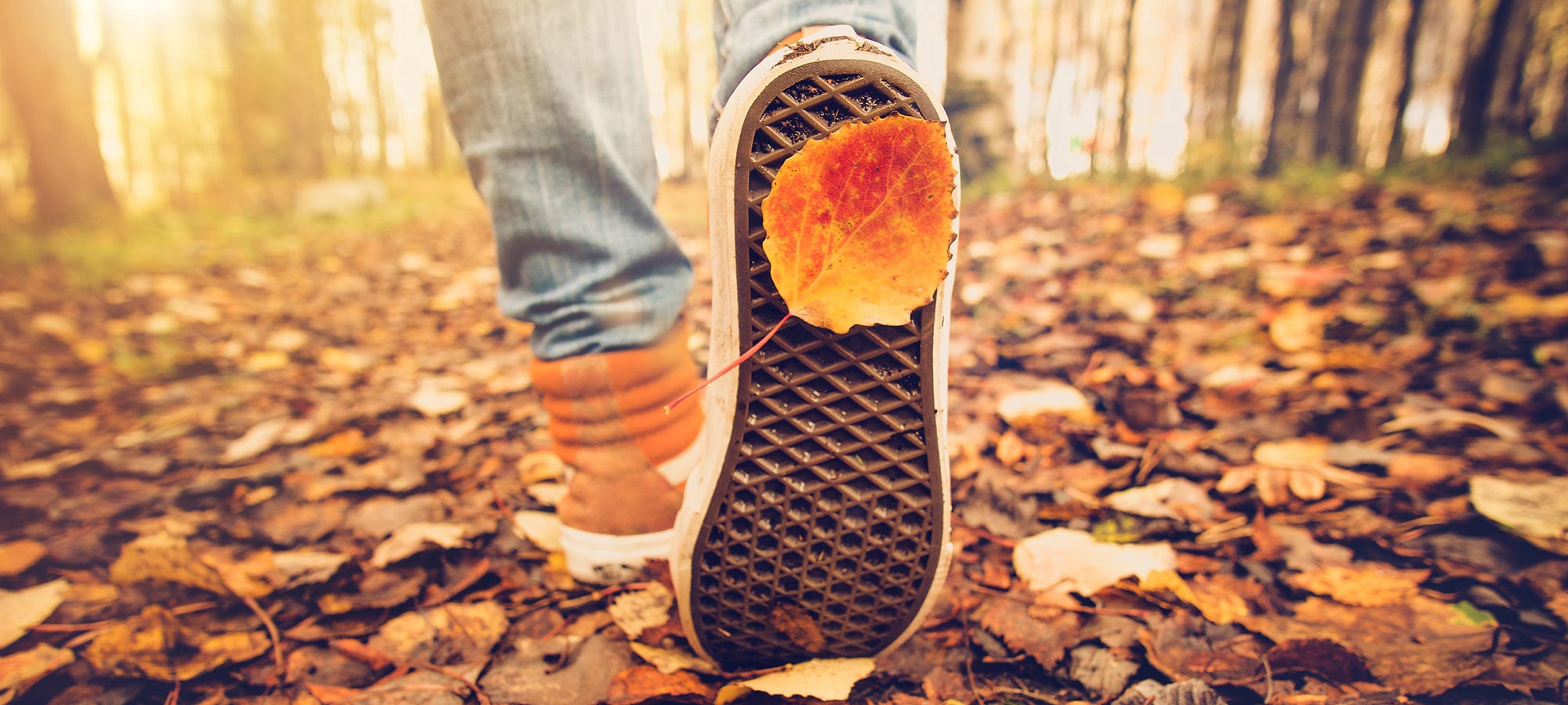 sneaker foglie autunno
