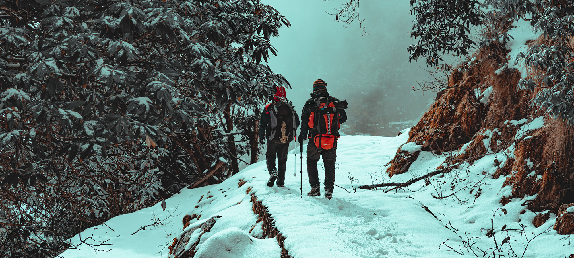 coppia a piedi trekking neve bosco