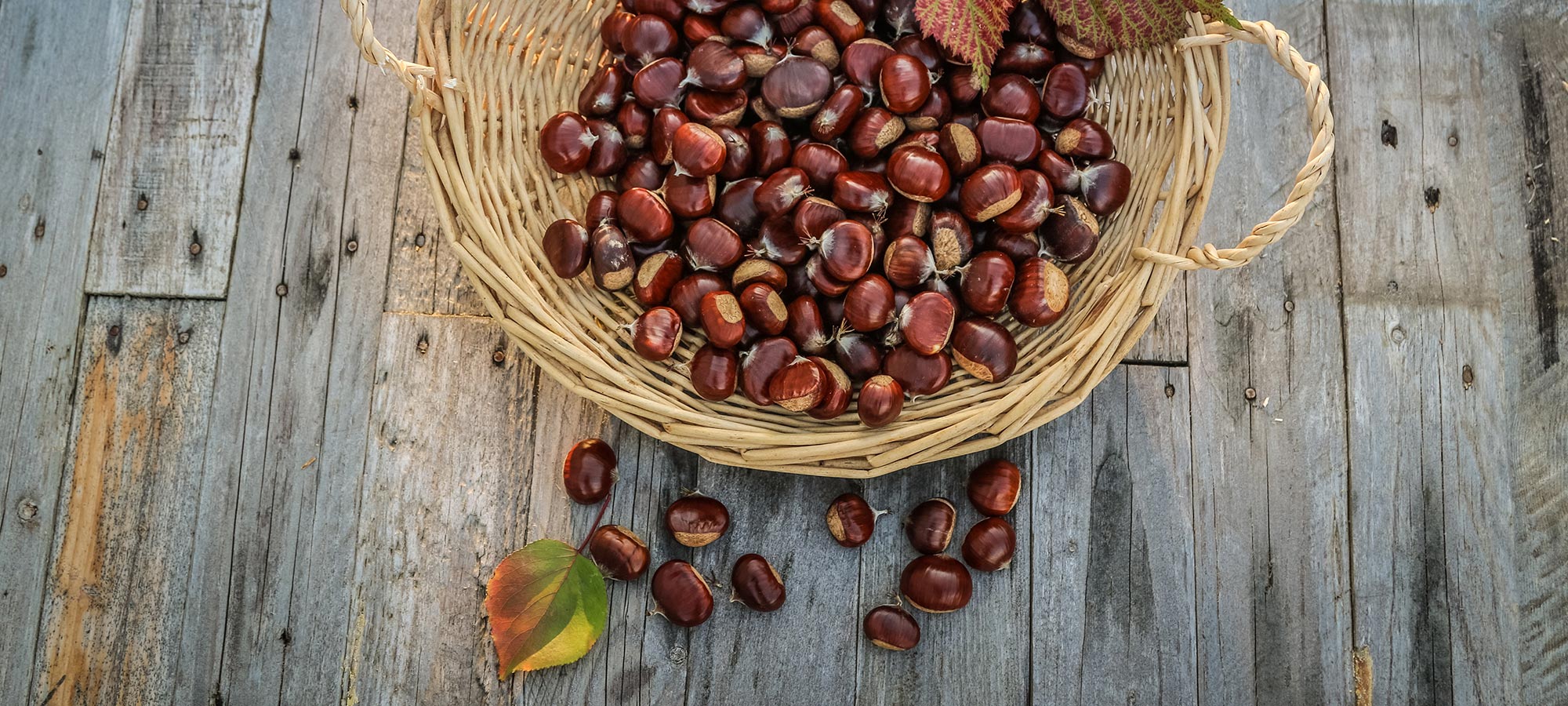 cesto di castagne foglie castagno