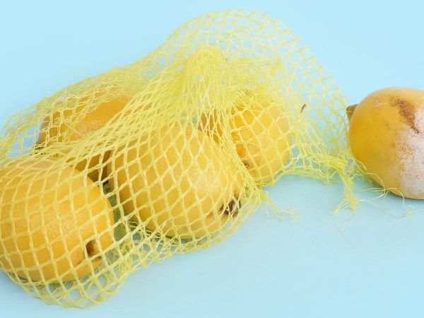 limoni retina sfondo celeste limone con muffa