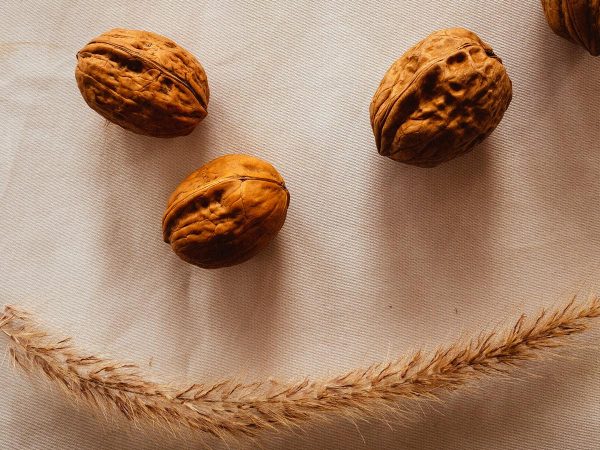 noci in guscio tovagli di lino spiga di grano