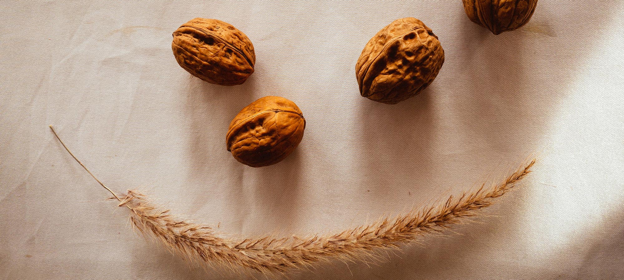 noci in guscio tovagli di lino spiga di grano